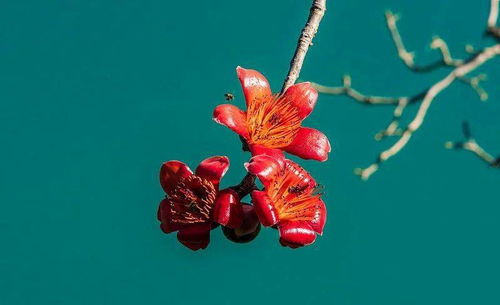 充電再續航 金舵攀枝花終端賦能培訓會圓滿結束