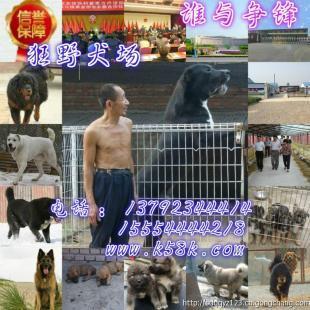 攀枝花肉狗養殖場肉狗苗崽價格_農副產品_世界工廠網
