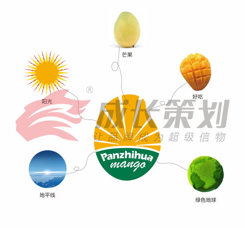 成長策劃助力攀枝花打造攀枝花芒果區(qū)域公用品牌,成為中國百強