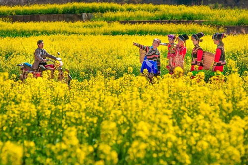 嘿 攀枝花 這些情話我想對你說上一百遍