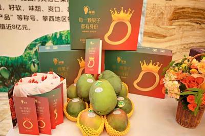 攀枝花再加碼，著力推進“九個一”行動，助力“攀果”產業升級