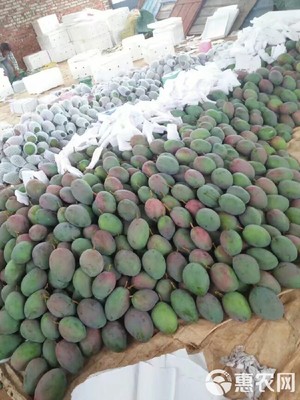 預(yù)售實(shí)惠 攀枝花凱特芒10斤裝僅35元，7月12日發(fā)貨